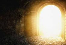 NGÔI NHÀ LÚC NÀO CŨNG MỞ CỬA