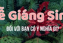 LỄ GIÁNG SINH ĐỐI VỚI BẠN CÓ Ý NGHĨA GÌ??