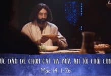 XỨC DẦU ĐỂ CHÔN CẤT VÀ BỮA ĂN TỐI CUỐI CÙNG-DỰ ÁN LUMO