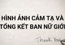 HÌNH ẢNH CẢM TẠ VÀ TỔNG KẾT BAN NỮ GIỚI (8/1/25)