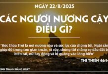 CÁC NGƯƠI NƯƠNG CẬY ĐIỀU GÌ? -22/8/25