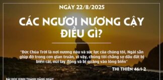 CÁC NGƯƠI NƯƠNG CẬY ĐIỀU GÌ? -22/8/25