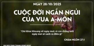 CUỘC ĐỜI NGẮN NGỦI CỦA VUA A-MÔN-28/10/25