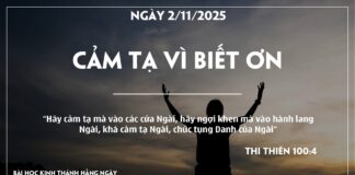 CẢM TẠ VÌ BIẾT ƠN-2/11/25