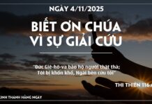 BIẾT ƠN CHÚA VÌ SỰ GIẢI CỨU-04/11/25