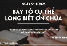 BÀY TỎ CỤ THỂ LÒNG BIẾT ƠN CHÚA-5/11/25