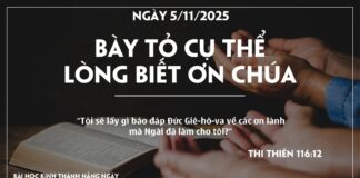 BÀY TỎ CỤ THỂ LÒNG BIẾT ƠN CHÚA-5/11/25