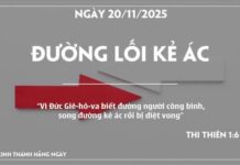 ĐƯỜNG LỐI KẺ ÁC-20/11/25