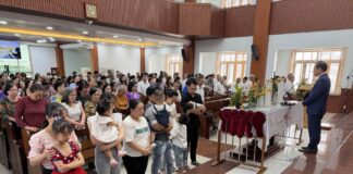 HÌNH ẢNH THỜ PHƯỢNG CHÚA NHẬT (23/11/25)