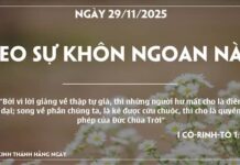 THEO SỰ KHÔN NGOAN NÀO? -29/11/25