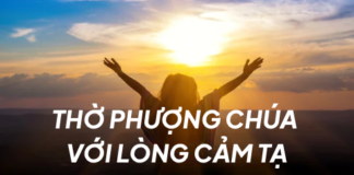 THỜ PHƯỢNG CHÚA VỚI LÒNG CẢM TẠ-1/11/25