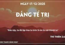 ĐẤNG TỂ TRỊ-17/12/25