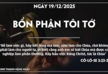 BỔN PHẬN TÔI TỚ-19/12/25