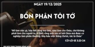BỔN PHẬN TÔI TỚ-19/12/25