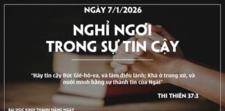 NGHỈ NGƠI TRONG SỰ TIN CẬY-7/1/26