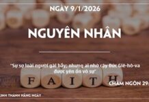 NGUYÊN NHÂN-9/1/26