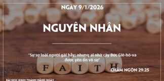NGUYÊN NHÂN-9/1/26