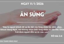 ÂN SỦNG-11/1/26