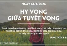 HY VỌNG GIỮA TUYỆT VỌNG-14/1/26