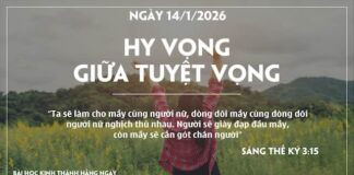HY VỌNG GIỮA TUYỆT VỌNG-14/1/26
