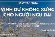 VINH DỰ KHÔNG XỨNG CHO NGƯỜI NGU DẠI-25/1/26