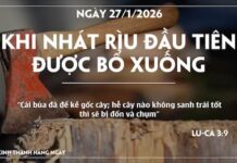 KHI NHÁT RÌU ĐẦU TIÊN ĐƯỢC BỔ XUỐNG-27/1/26
