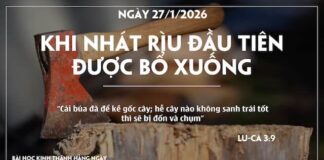 KHI NHÁT RÌU ĐẦU TIÊN ĐƯỢC BỔ XUỐNG-27/1/26