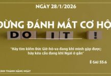 ĐỪNG ĐÁNH MẤT CƠ HỘI-28/1/26