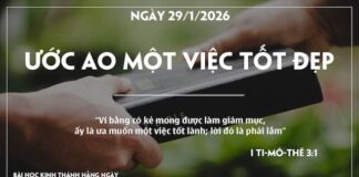 ƯỚC AO MỘT VIỆC TỐT ĐẸP-29/1/26