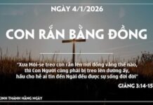 CON RẮN BẰNG ĐỒNG-4/1/26