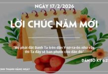 LỜI CHÚC NĂM MỚI-17/2/26