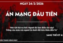 ÁN MẠNG ĐẦU TIÊN -24/2/26