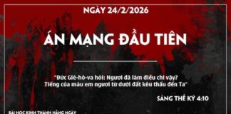ÁN MẠNG ĐẦU TIÊN -24/2/26