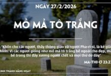 MỒ MẢ TÔ TRẮNG-27/2/26