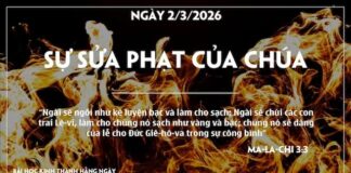 SỰ SỬA PHẠT CỦA CHÚA-2/3/26