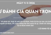 SỰ ĐÁNH GIÁ QUAN TRỌNG-11/3/26
