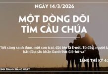 MỘT DÒNG DÕI TÌM CẦU CHÚA-14/3/26