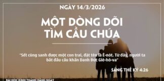 MỘT DÒNG DÕI TÌM CẦU CHÚA-14/3/26