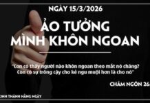 ẢO TƯỞNG MÌNH KHÔN NGOAN-15/3/26