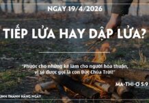 TIẾP LỬA HAY DẬP LỬA-19/4/26