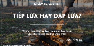TIẾP LỬA HAY DẬP LỬA-19/4/26