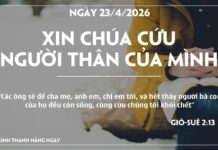 XIN CHÚA CỨU NGƯỜI THÂN CỦA MÌNH-23/4/26