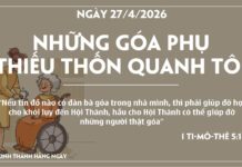 NHỮNG GÓA PHỤ THIẾU THỐN QUANH TÔI-27/4/26