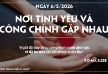 NƠI TÌNH YÊU VÀ CÔNG CHÍNH GẶP NHAU-6/5/26
