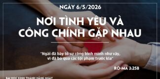 NƠI TÌNH YÊU VÀ CÔNG CHÍNH GẶP NHAU-6/5/26