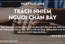 TRÁCH NHIỆM NGƯỜI CHĂN BẦY-11/5/26