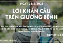 LỜI KHẨN CẦU TRÊN GIƯỜNG BỆNH-28/5/26