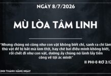MÙ LOÀ TÂM LINH-8/7/26