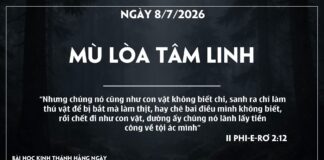 MÙ LOÀ TÂM LINH-8/7/26