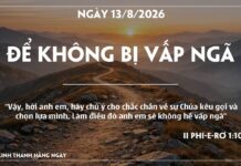 ĐỂ KHÔNG BỊ VẤP NGÃ-13/8/26